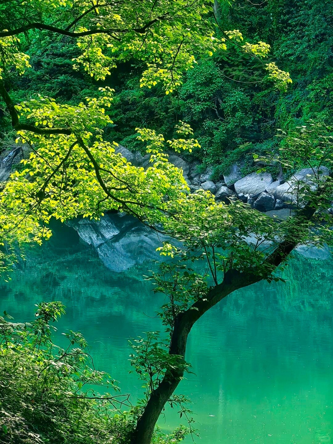 Tujia Cultural Heritage & Ancient Echoes — Zhangjiajie (6)