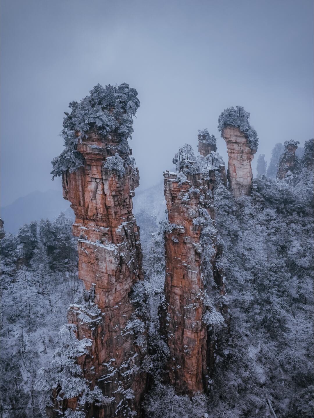 Wulingyuan: The UNESCO Core & Avatar Peaks — Zhangjiajie (3)