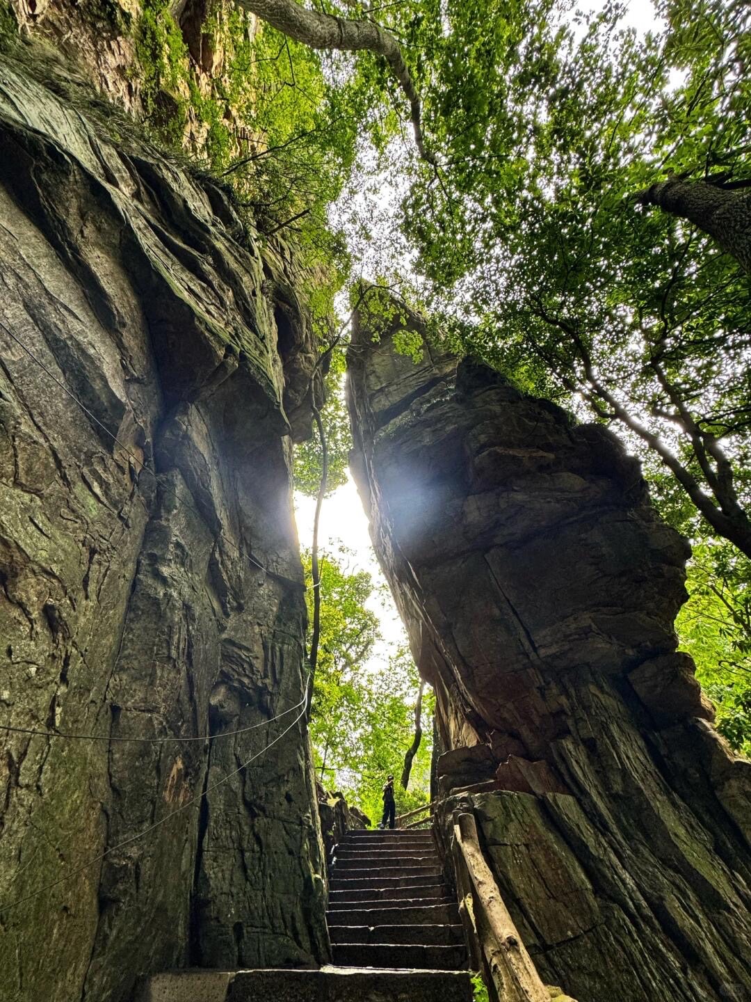 Wulingyuan: The UNESCO Core & Avatar Peaks — Zhangjiajie (6)