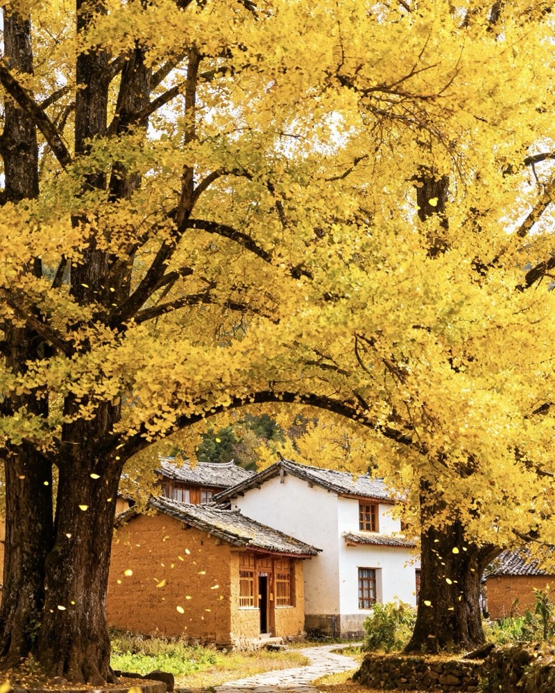 Soulful Side of Yunnan — private China itinerary