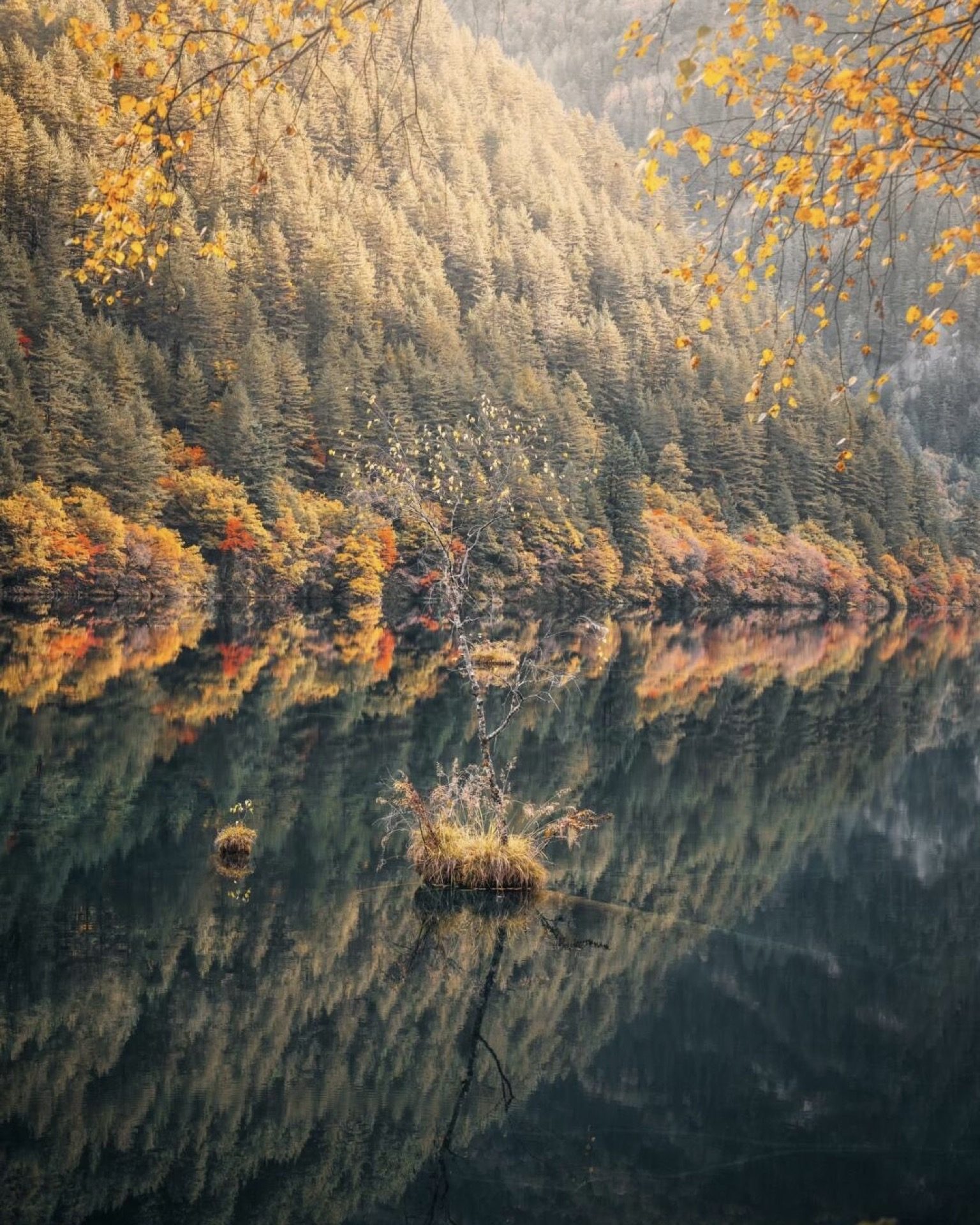 Brilliant autumn foliage in peak colour framing Jiuzhai Valley's emerald waters