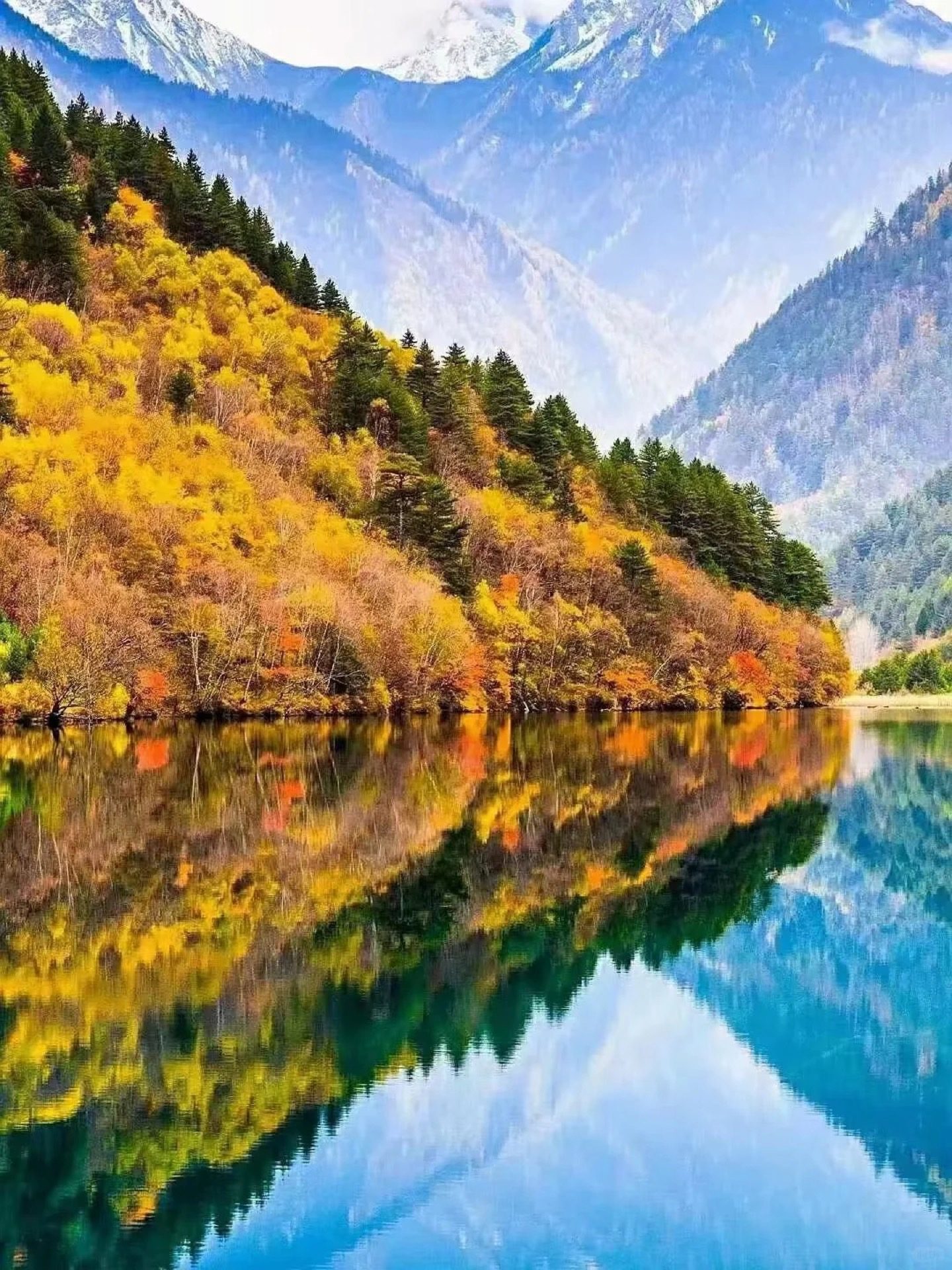 Classic Jiuzhai Valley autumn scenery with golden trees mirrored in a calm lake