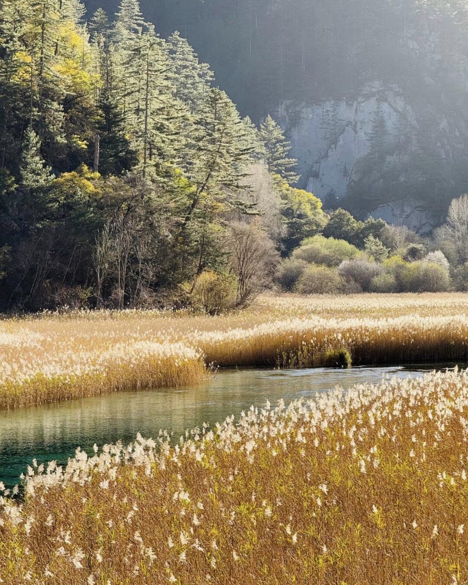 Jiuzhai Valley — reed-filled stream at the base of a cliff, late-autumn light