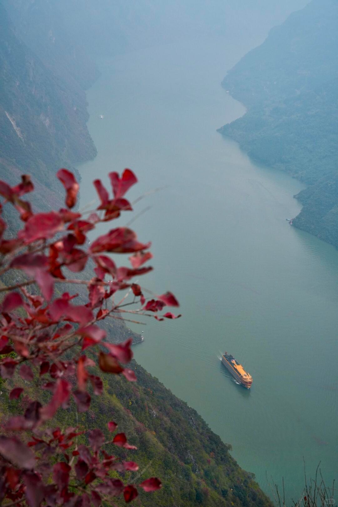 Red leaves frame a tiny Yangtze cruise ship threading the gorge far below the Longji walkway