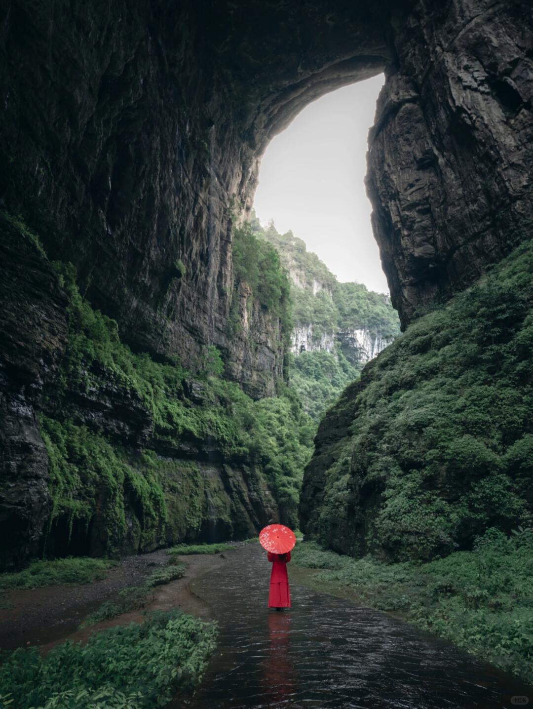 A hidden valley inside the Wulong karst — tucked between the limestone walls the guide knows about