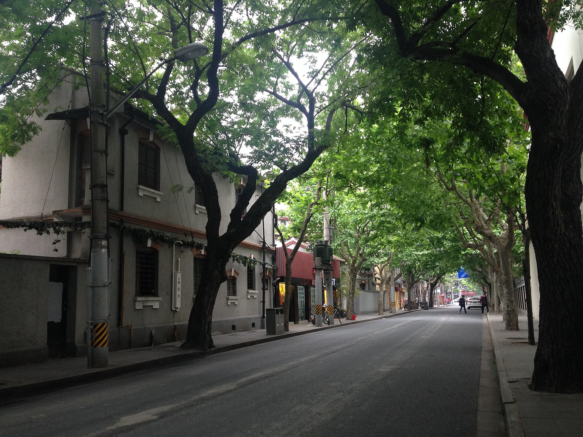 Plane-tree-lined street in Shanghai's former French Concession — Classic China tour