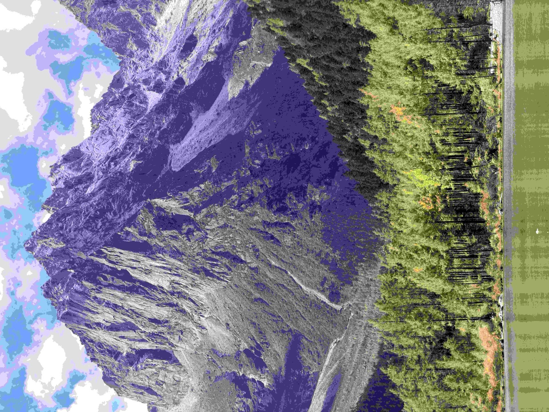 Golden larch meadow in Daocheng Yading glowing in morning light below the three sacred peaks