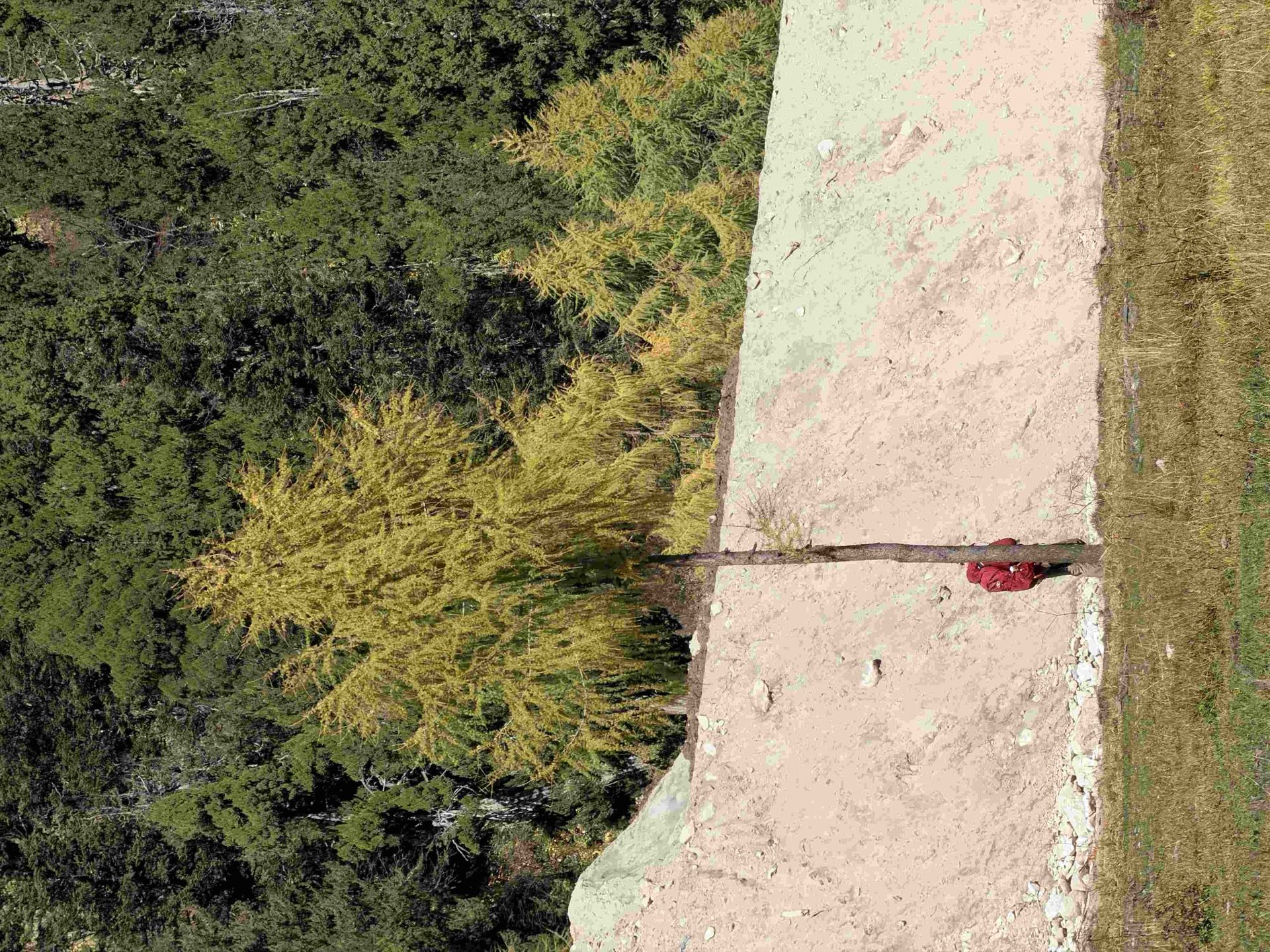 Morning mist lifting in the Yading valley, Daocheng — the last Shangri-La