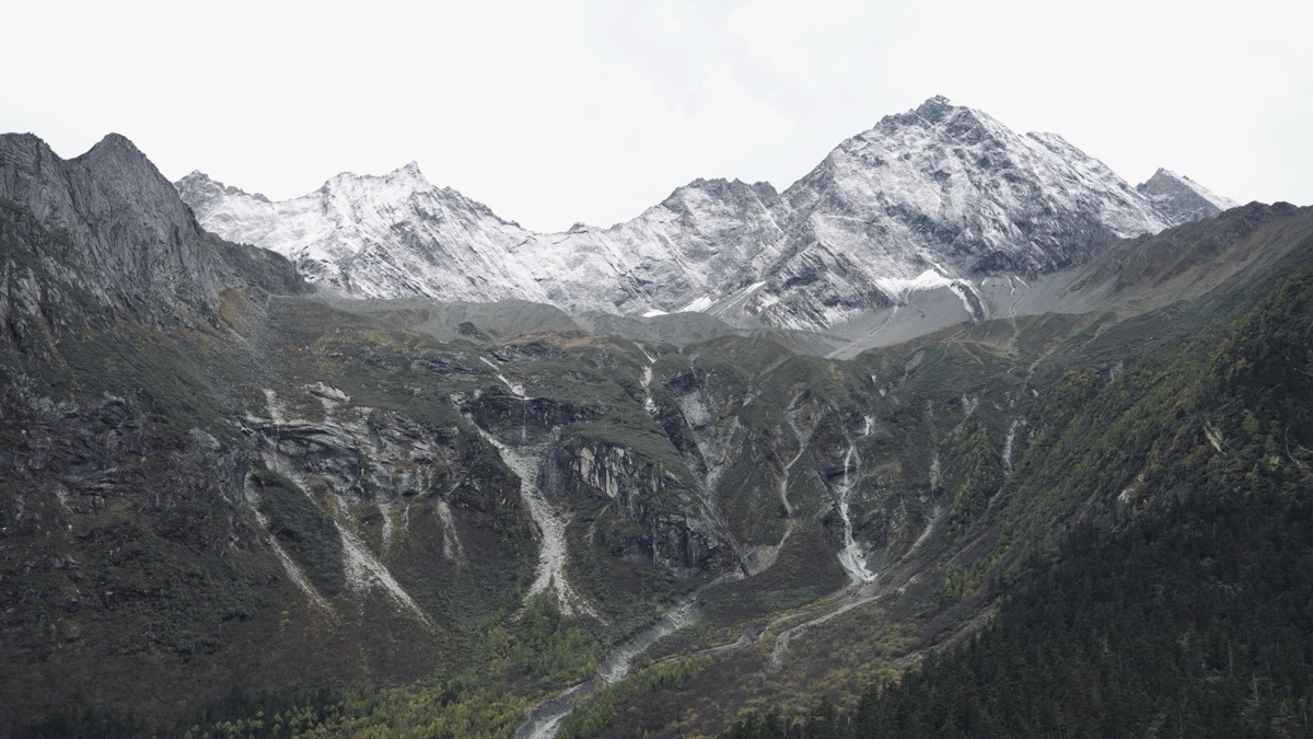 Snow-capped Siguniang range rising above West Sichuan's scree and larch slopes