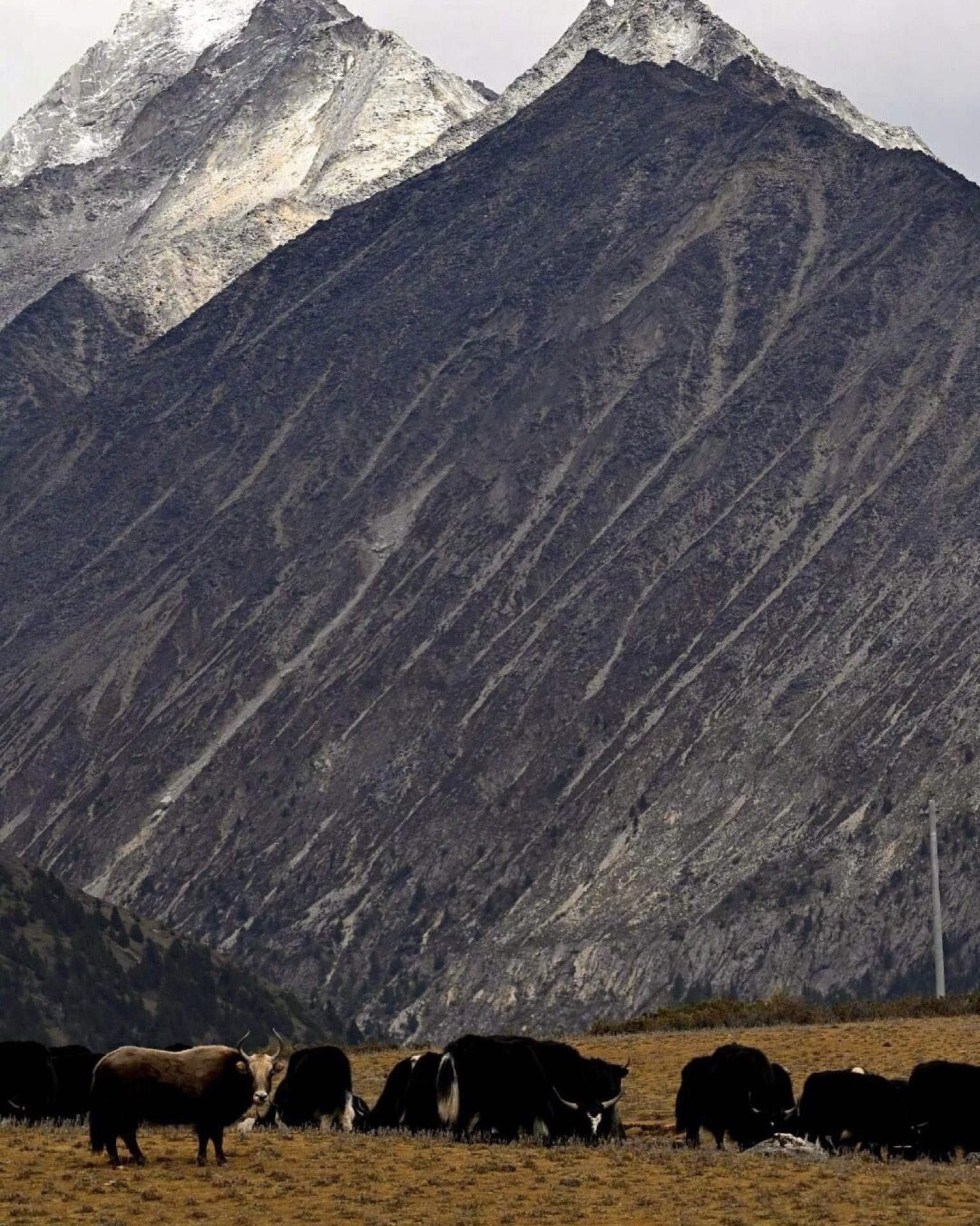 Xinduqiao autumn river valley with golden foliage and mountain reflections, West Sichuan