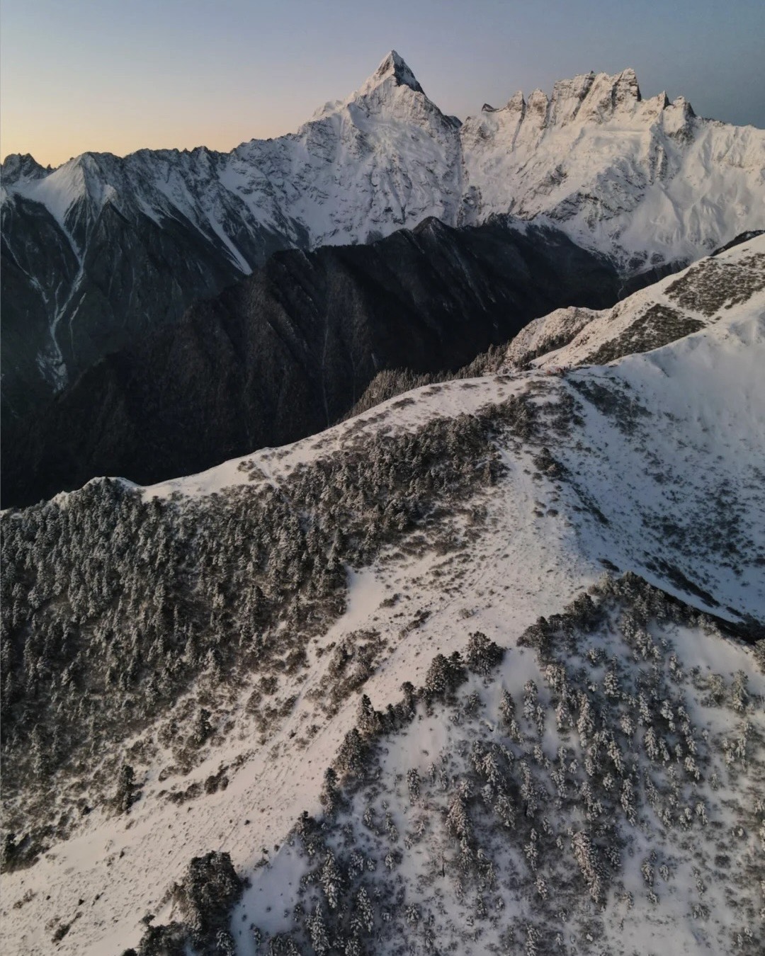 Dawn light catching the summit of Meili Snow Mountain from a forested ridge