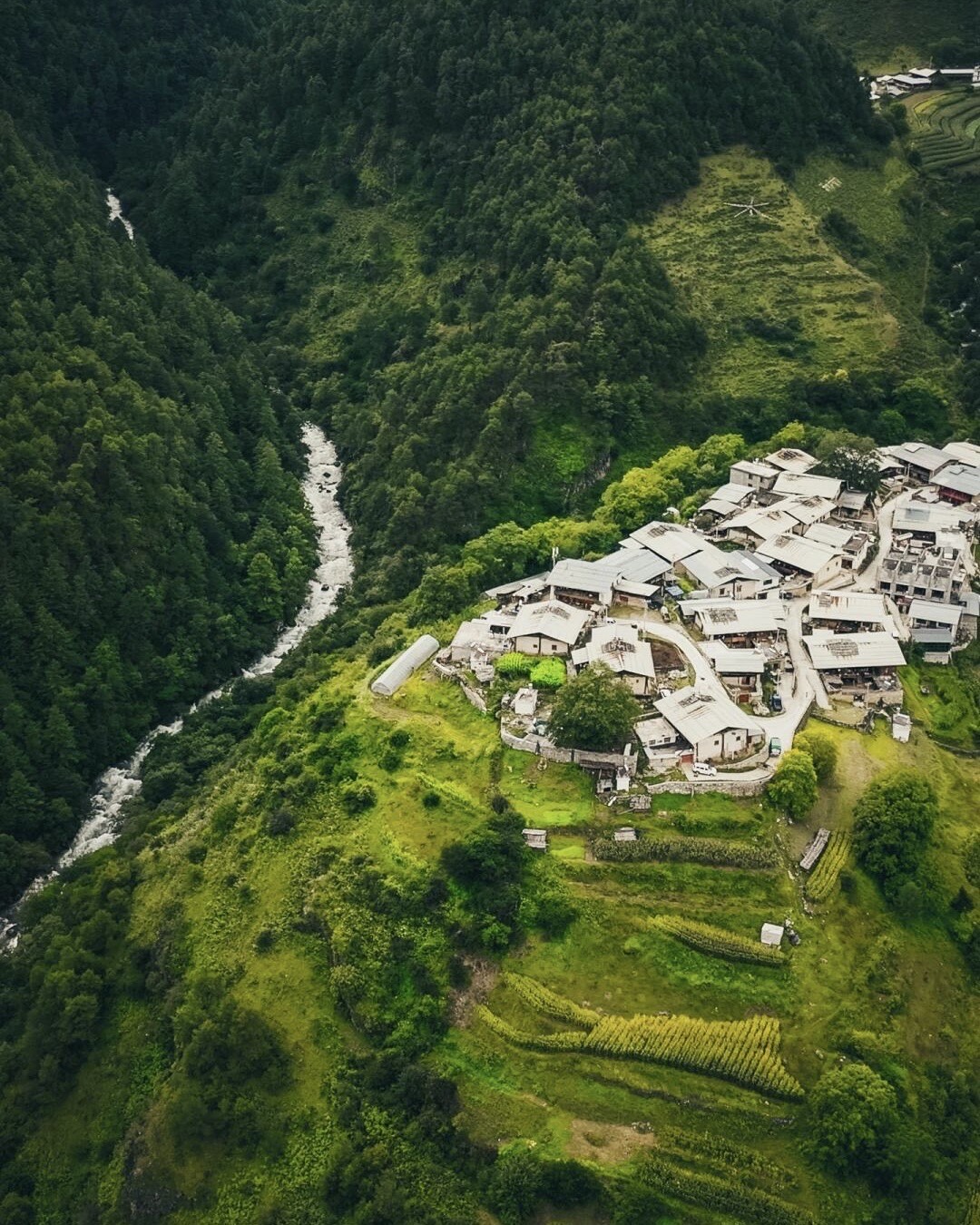Alpenglow on the snow peaks above Niru village, Shangri-La — Yunnan hiking tour