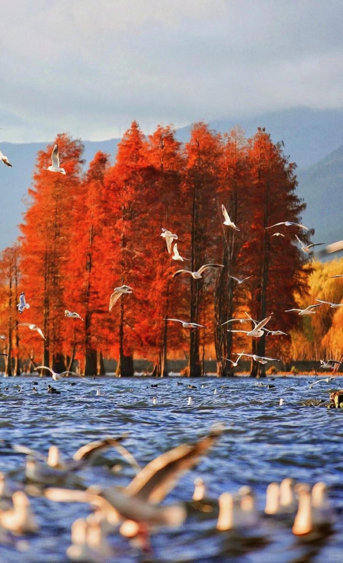 Lakeside pagoda in misty morning light with Cang Mountain behind, Erhai, Dali — Yunnan slow culture tour