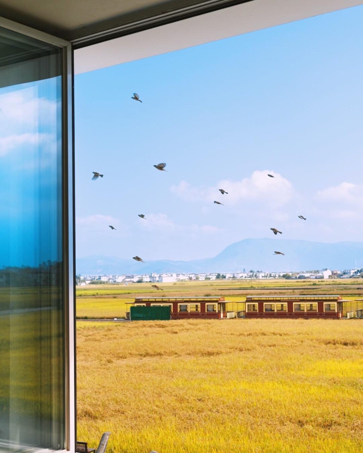 Geese flying over Erhai wetland at sunset, Dali — Yunnan slow culture tour