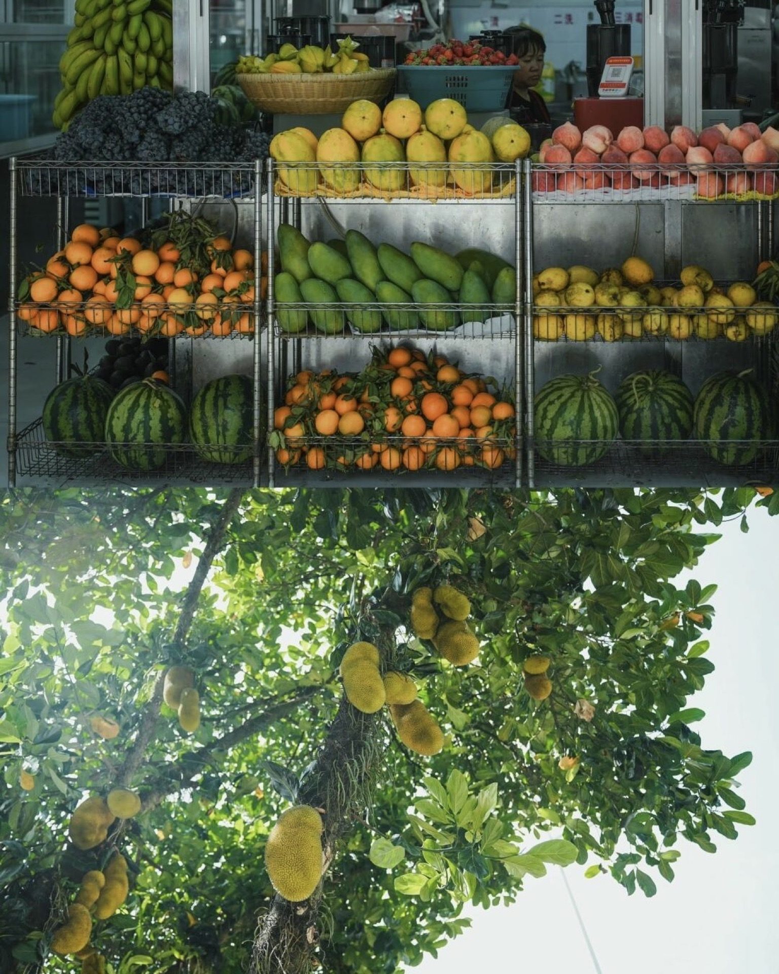 Giant jackfruit and tropical produce piled high at a Mangshi fruit market — Yunnan slow culture tour