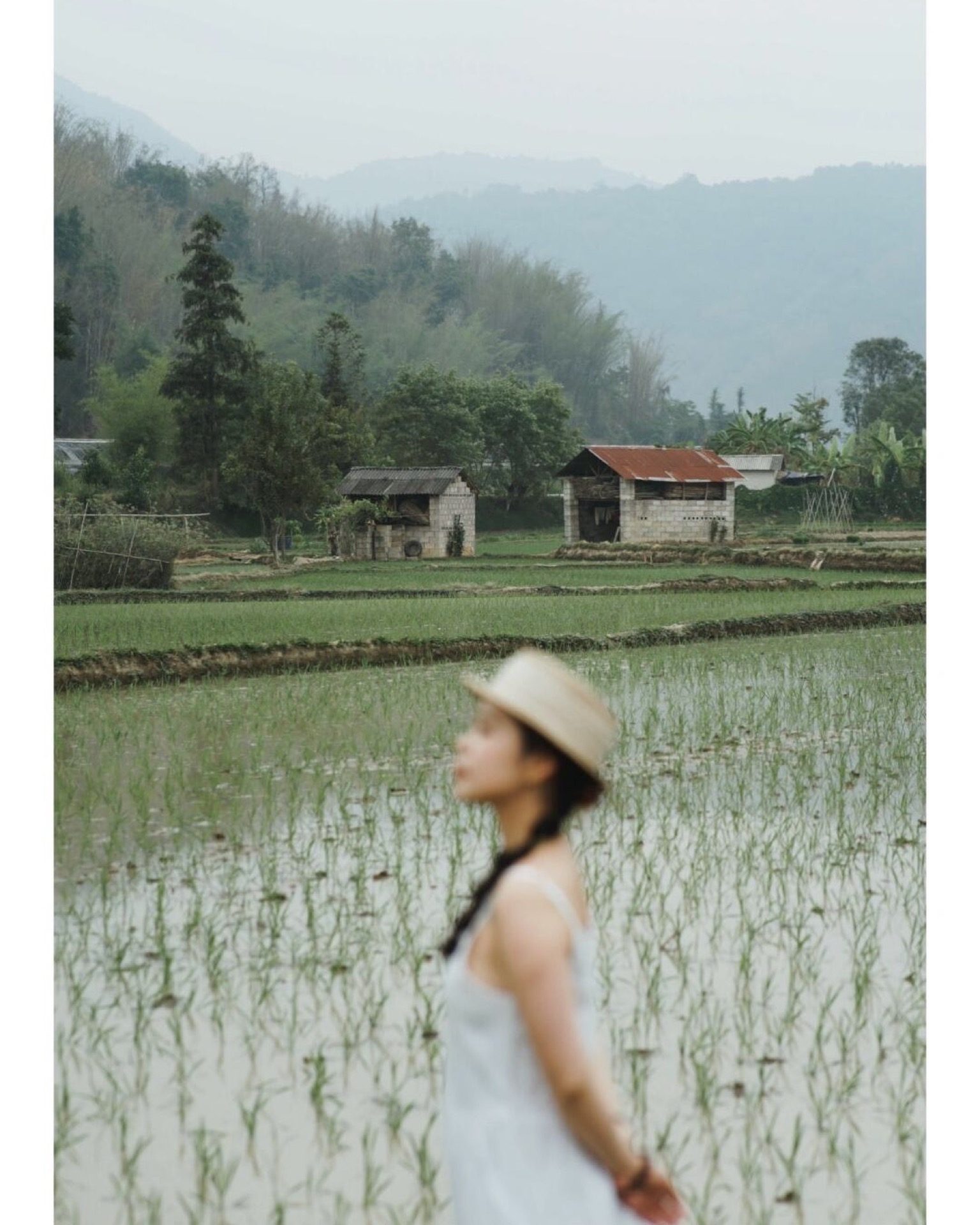 Young woman in a straw hat walking along the edge of a Mangshi rice paddy — Yunnan slow culture tour