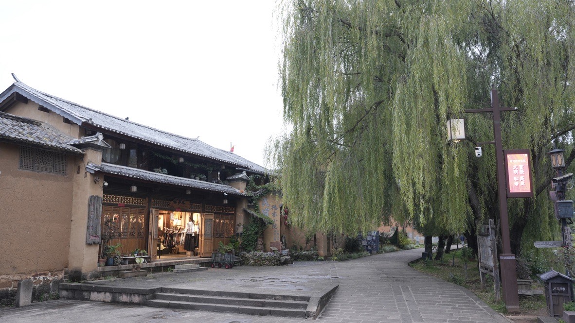 Rammed-earth courtyard and weeping willow along a Shaxi ancient-town lane — Yunnan slow culture tour