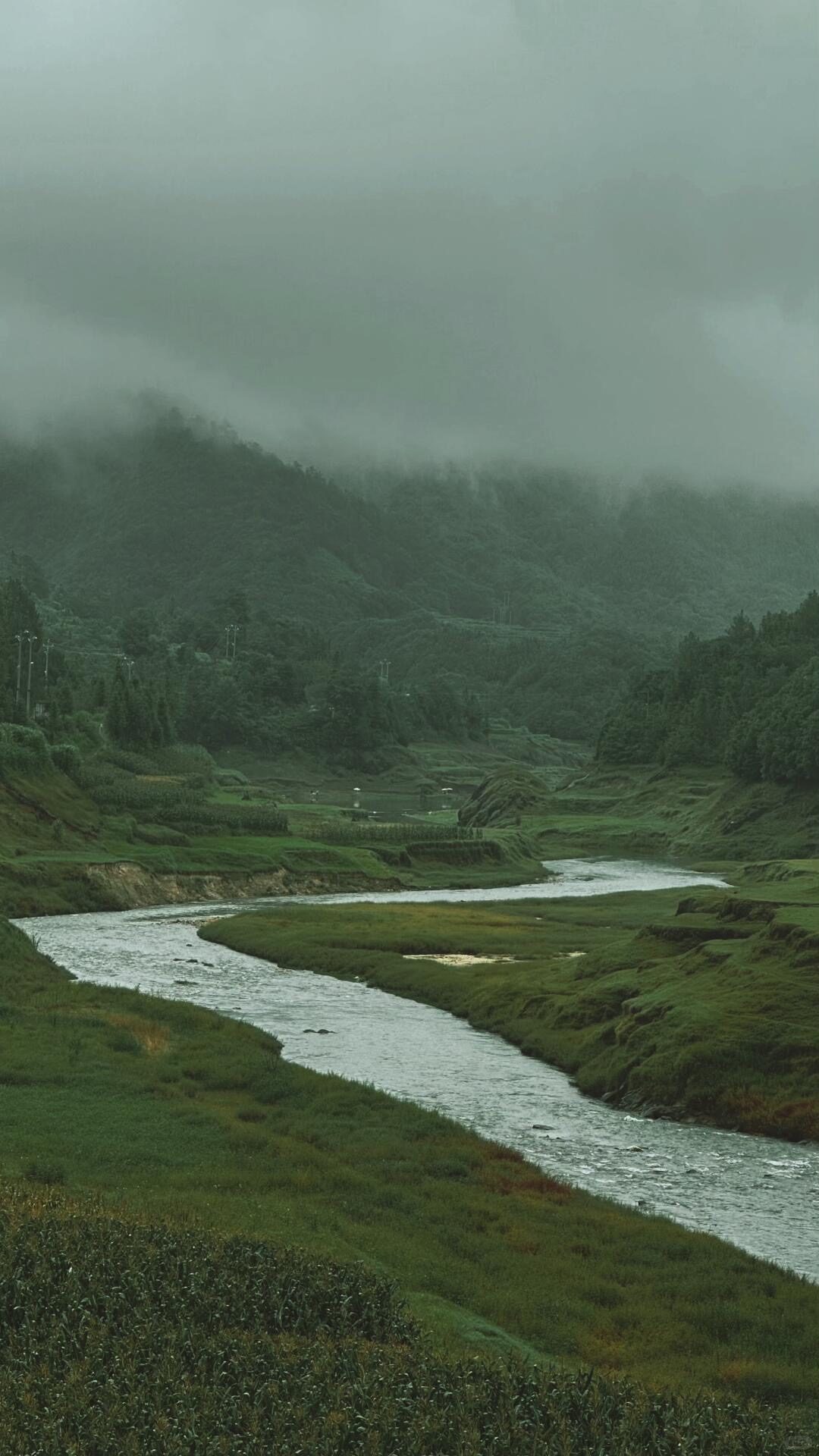 Ancient forest canopy in the Gaoligong foothills near Tengchong's volcanic terrain — Yunnan slow culture tour