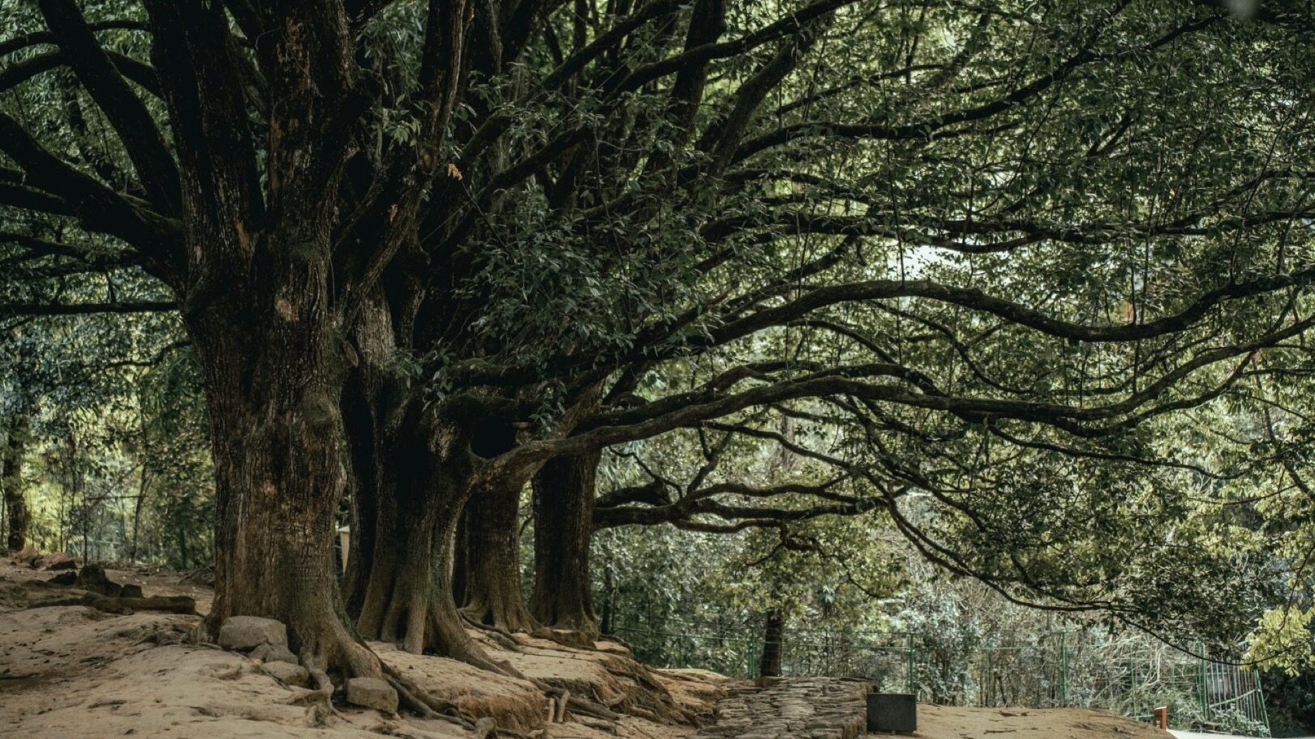 Heritage culture of Heshun ancient town with ancestral hall gateways, Tengchong — Yunnan slow culture tour