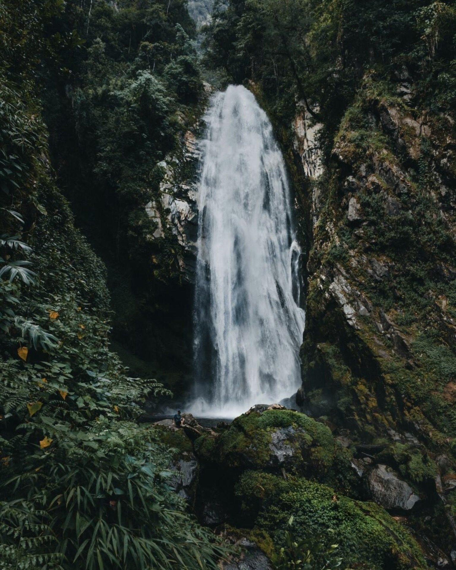 Hikers resting by a waterfall on a Gaoligong Mountain trail, Tengchong — Yunnan slow culture tour