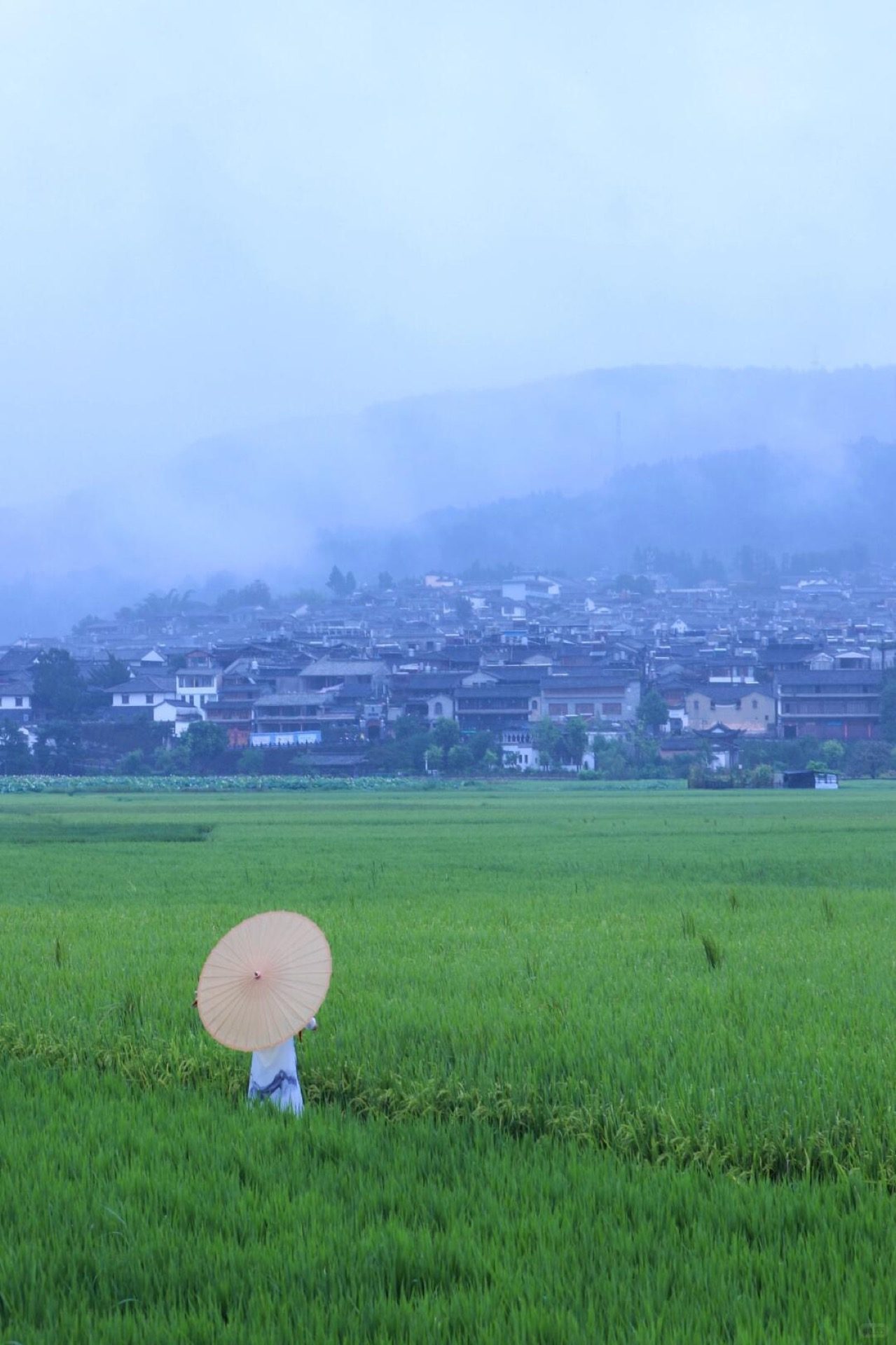 Rain-soaked paddy fields viewed from Bailian Hotel, Heshun, Tengchong — Yunnan slow culture tour