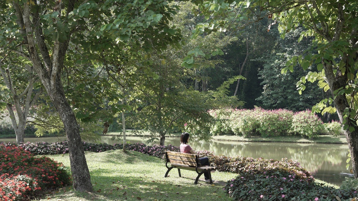 Peaceful lakeside seat in a tropical botanical garden in Jinghong, Xishuangbanna