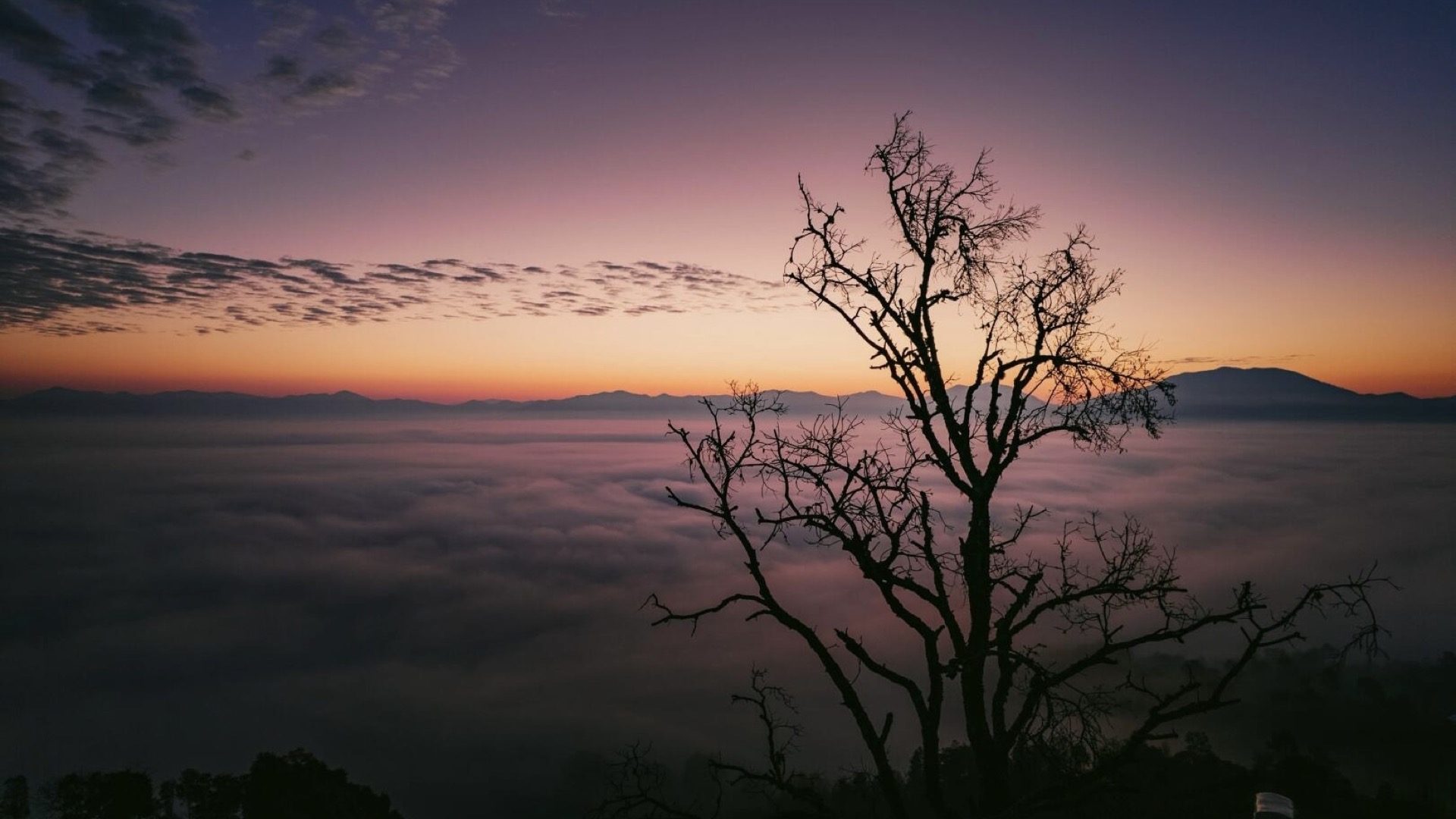 Hotel terrace overlooking a sea of clouds rolling over Jingmai Mountain — Yunnan tropical tour