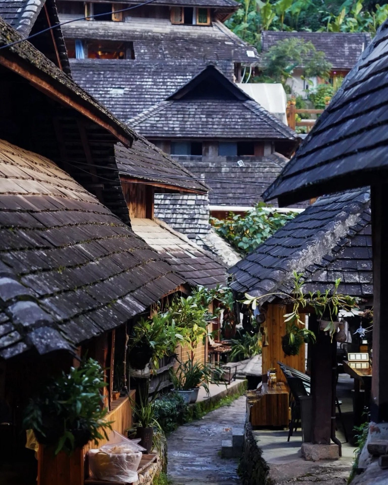 Narrow village alley glowing in twilight during an evening walk on Jingmai Mountain — Yunnan tropical tour