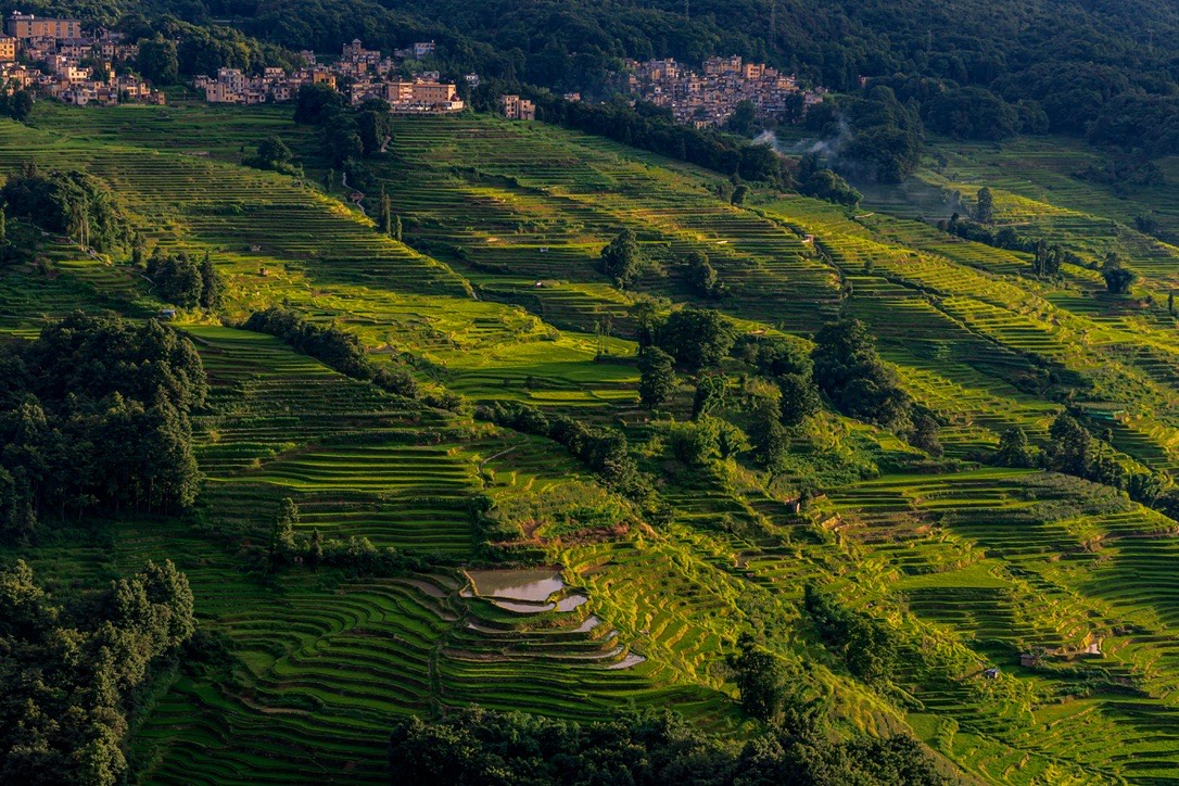 Ancient tea terraces and a ridgeline village on Jingmai Mountain at golden hour — hero image for the Gentle Summer in Yunnan family tour by Boutique China