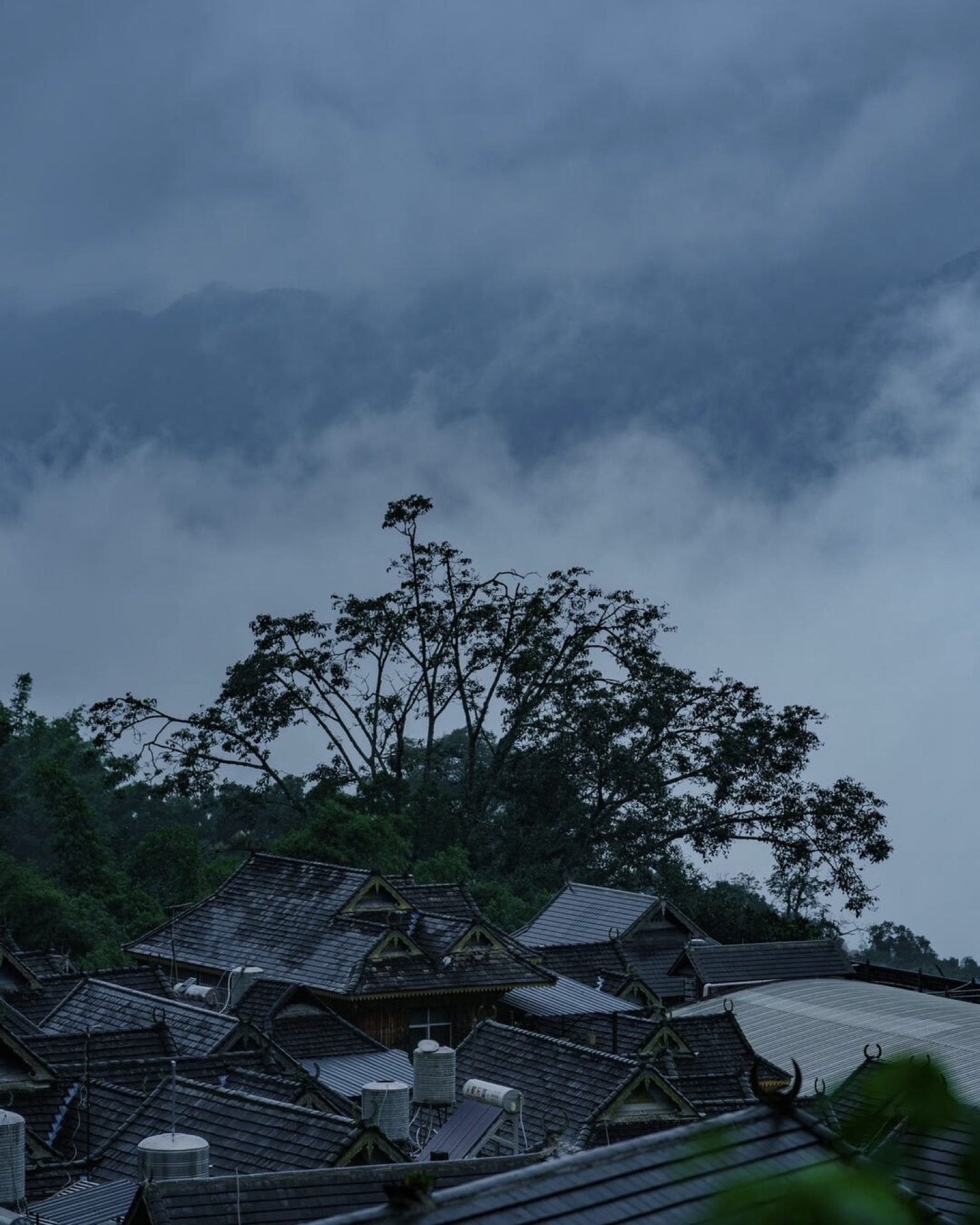 Misty rooftops of Manghong village rising through morning cloud on Jingmai Mountain — Yunnan tropical tour