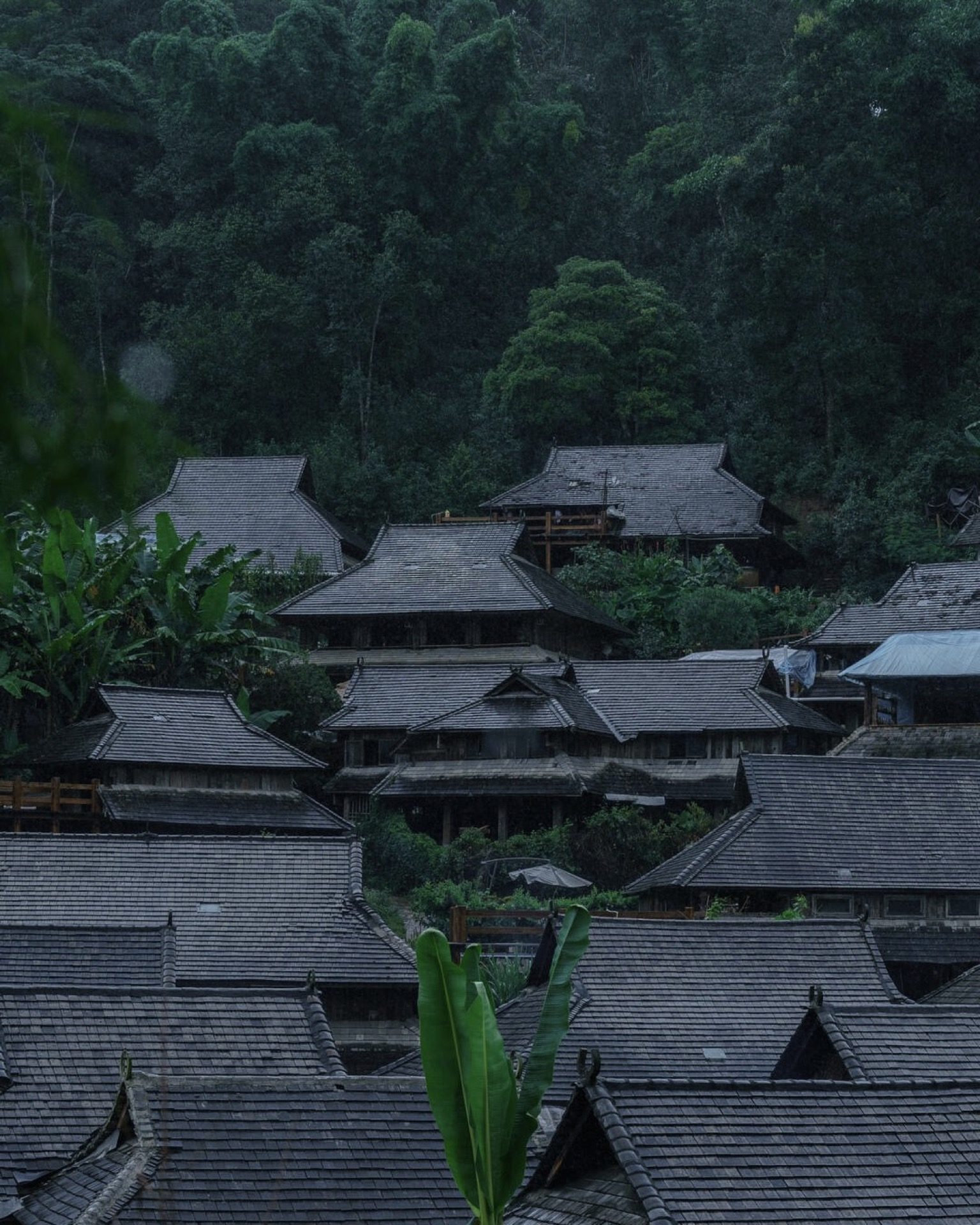 Layered Dai timber rooftops cascading down Manghong village below the forested ridge — UNESCO Jingmai cultural landscape