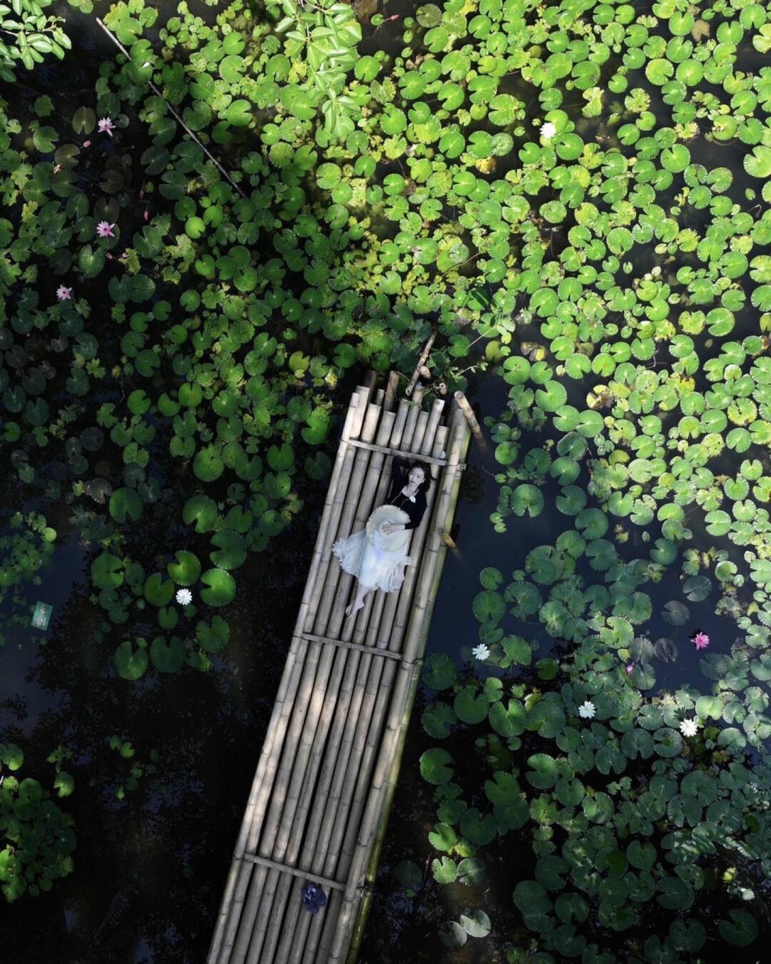 Aerial view of the lush tropical botanical garden in Xishuangbanna — Yunnan tropical tour