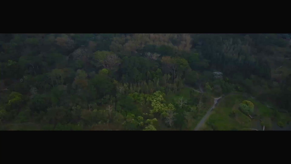 Anantara Xishuangbanna — Xishuangbanna (boutique stay)