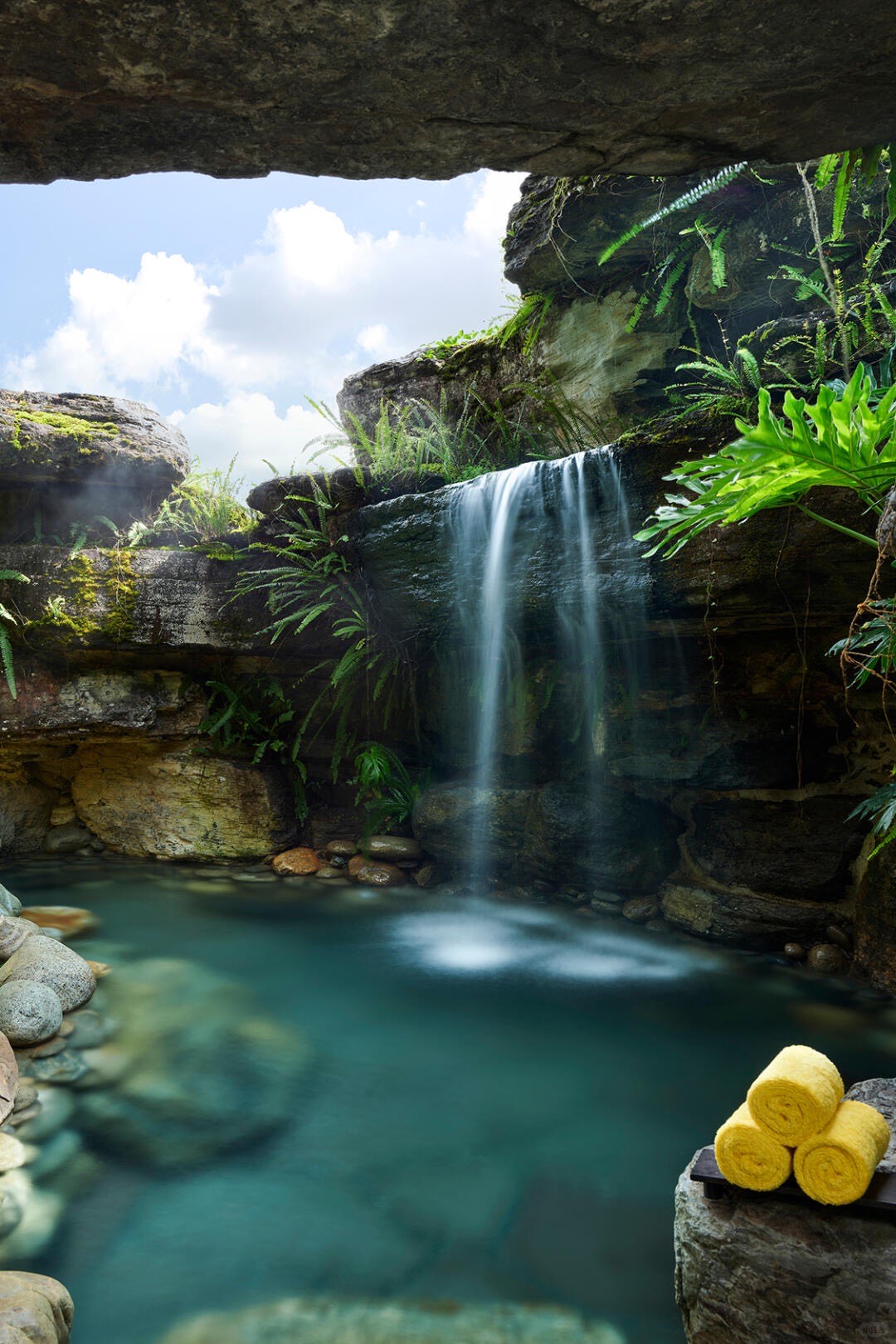 Banyan Tree — Tengchong — Tengchong (3)