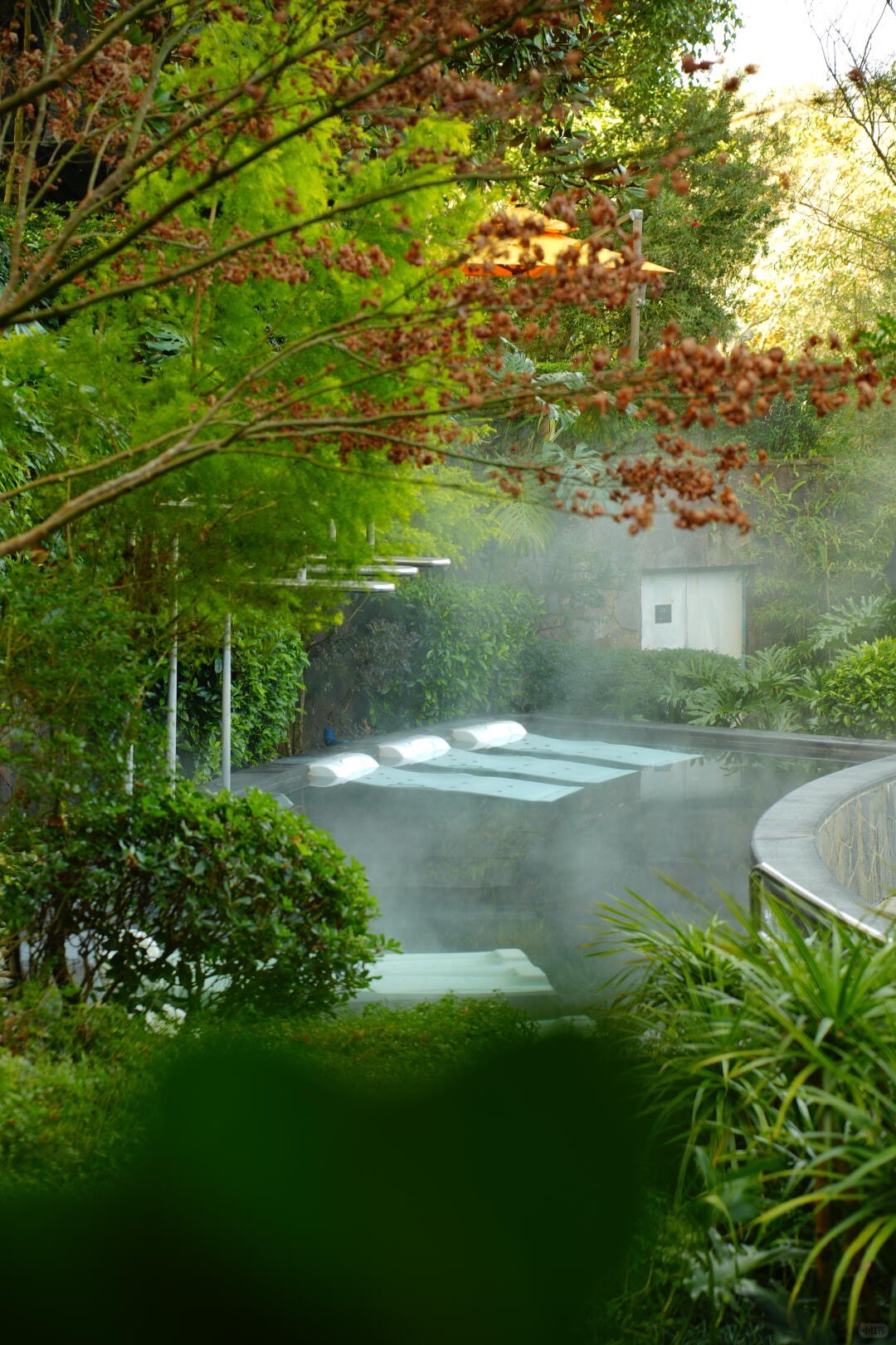 Banyan Tree — Tengchong — Tengchong (2)