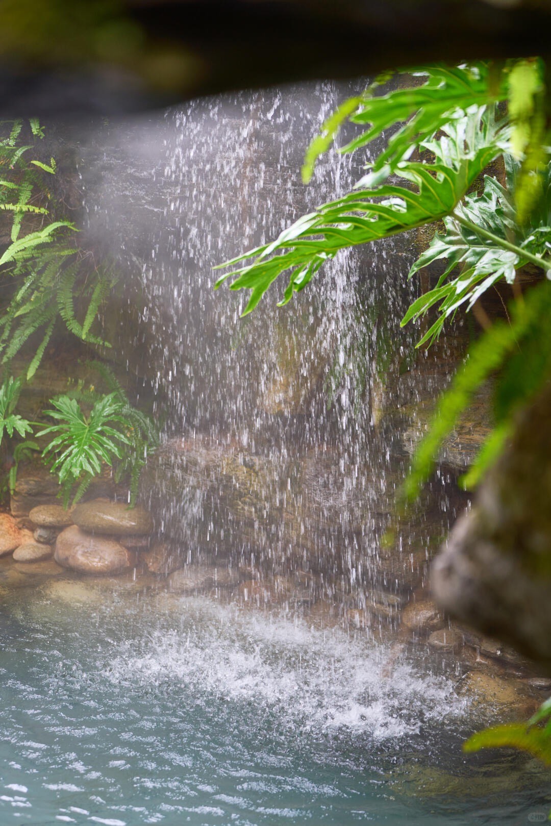 Banyan Tree — Tengchong — Tengchong (10)