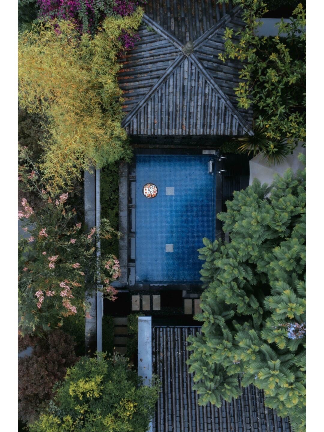 Banyan Tree — Tengchong — Tengchong (1)