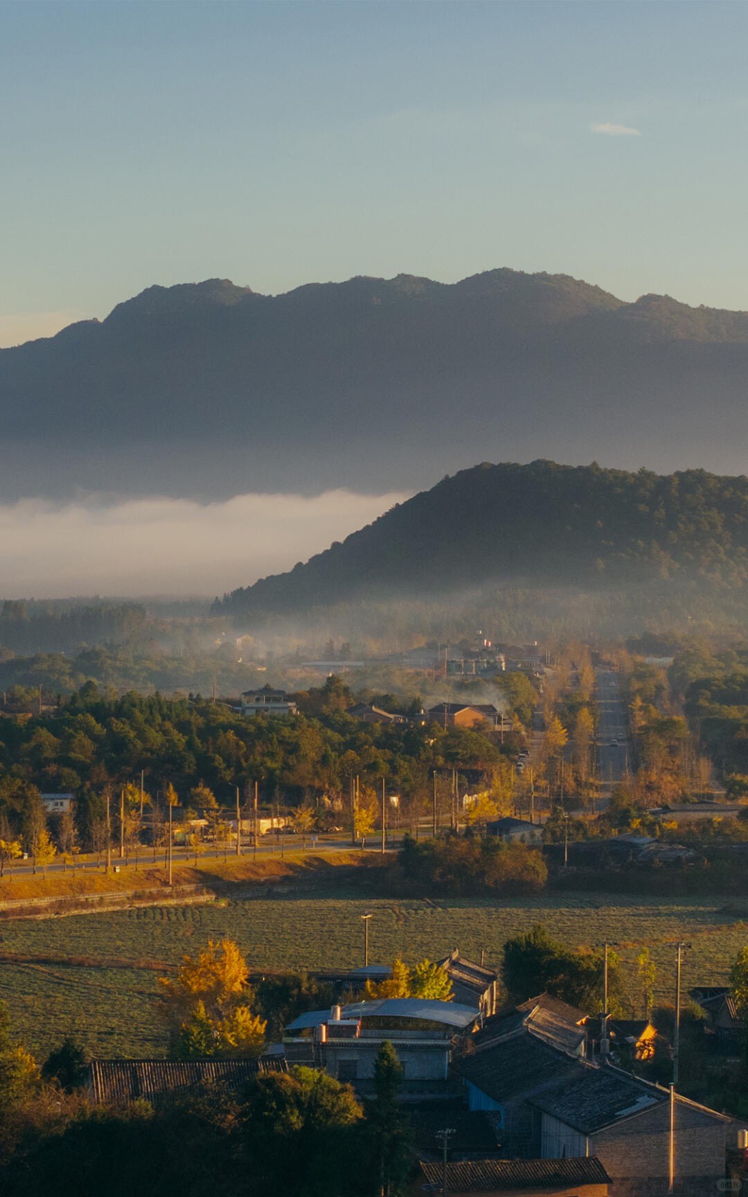 Banyan Tree — Tengchong — Tengchong (9)