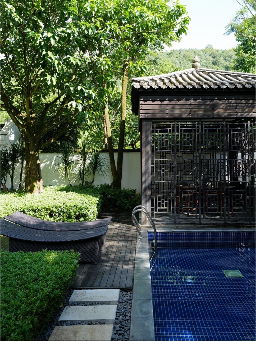 Banyan Tree — Tengchong — Tengchong (8)