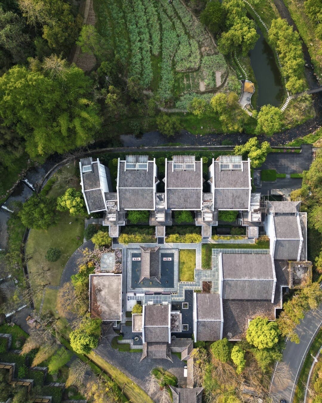 Banyan Tree — Tengchong — Tengchong (12)