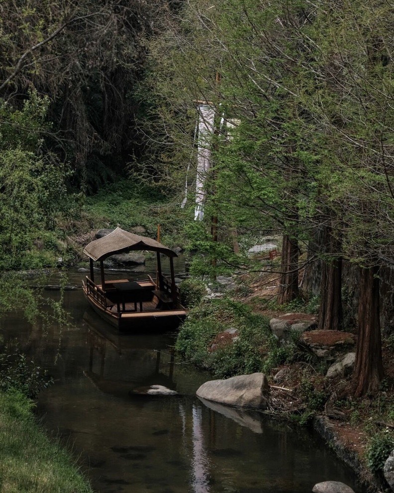 Banyan Tree — Tengchong — Tengchong (14)