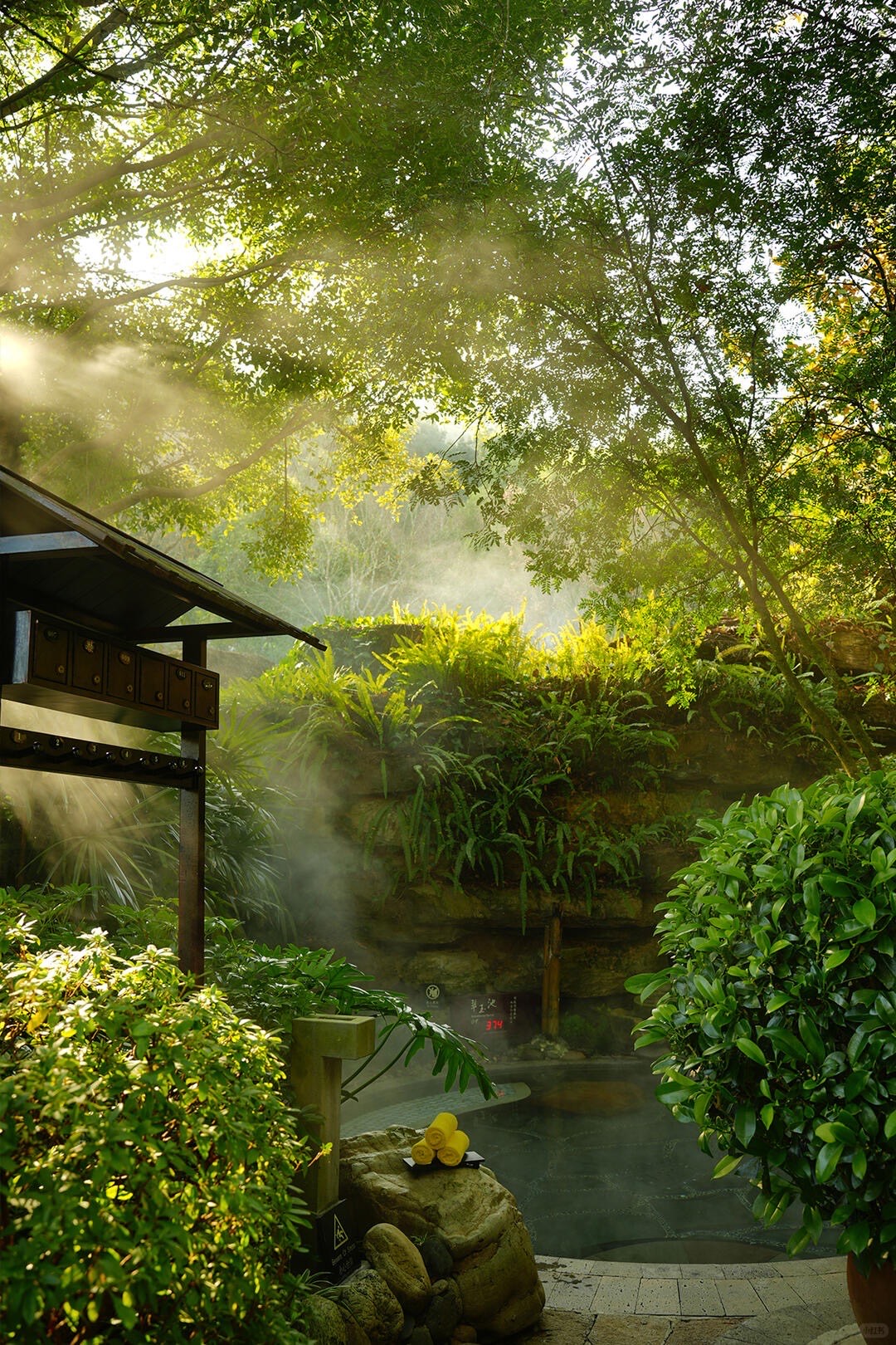 Banyan Tree — Tengchong — Tengchong (6)