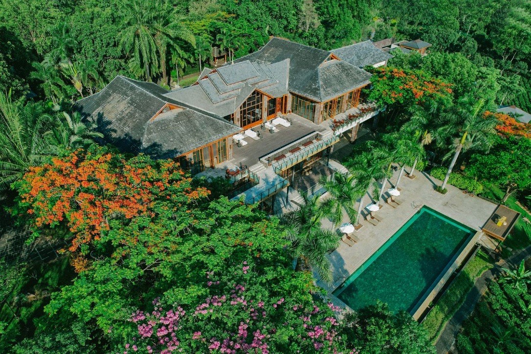 Bolian Jingmai — Jingmai Mountain — Jingmai Mountain (1)