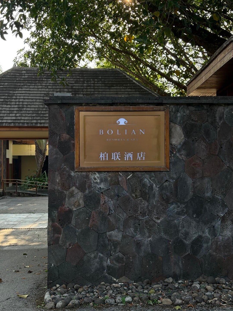 Bolian Jingmai — Jingmai Mountain — Jingmai Mountain (11)