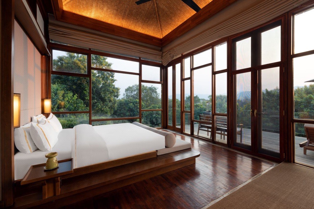 Bolian Jingmai — Jingmai Mountain — Jingmai Mountain (9)