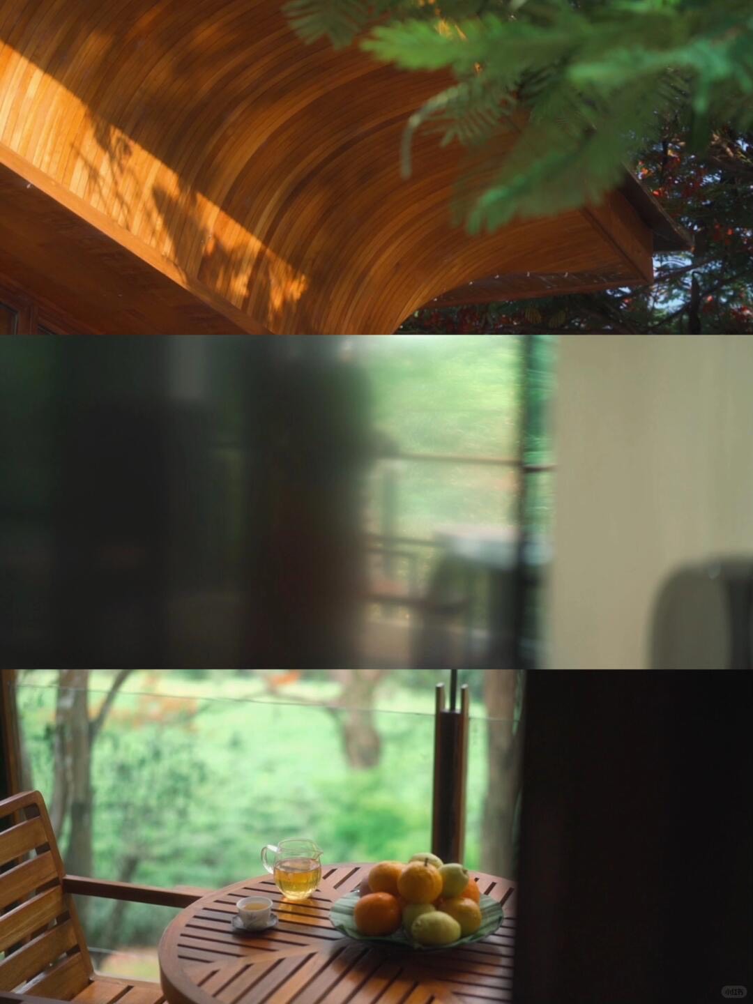 Bolian Jingmai — Jingmai Mountain — Jingmai Mountain (7)