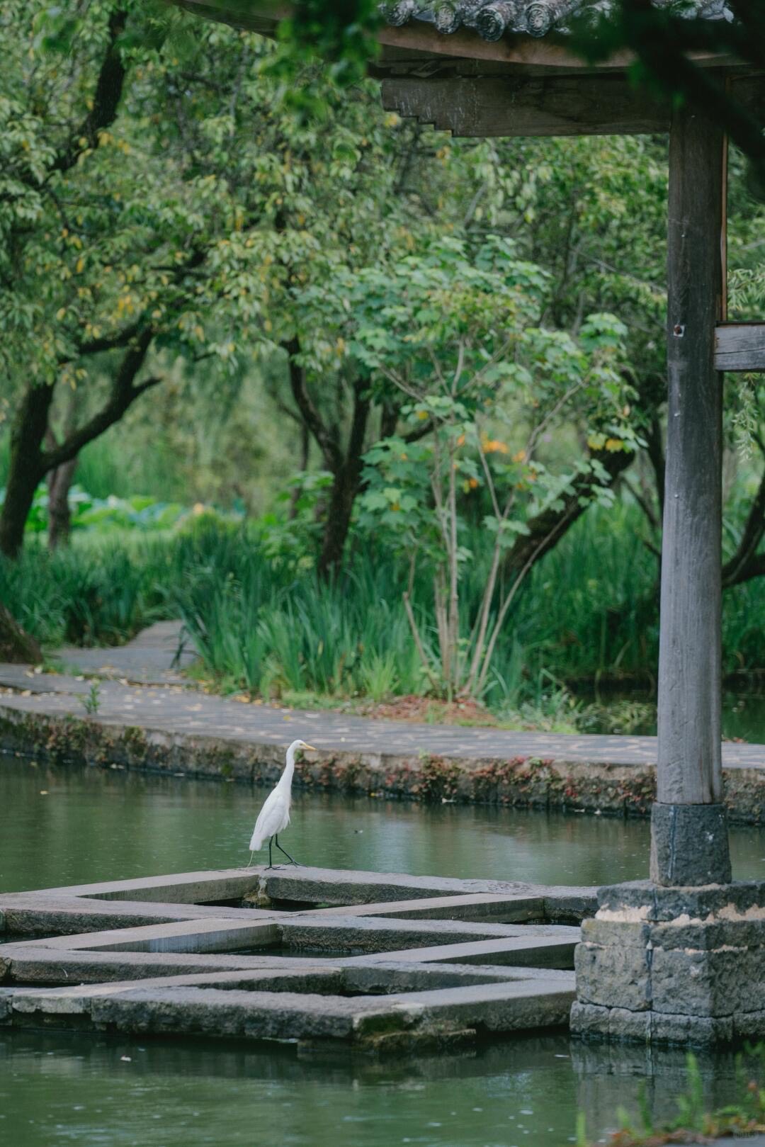 Bolian Tengchong — Tengchong — Tengchong (3)