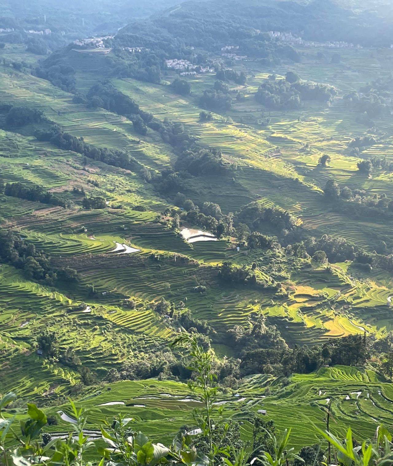 Green Yuanyang rice terraces falling away below Duoyishu