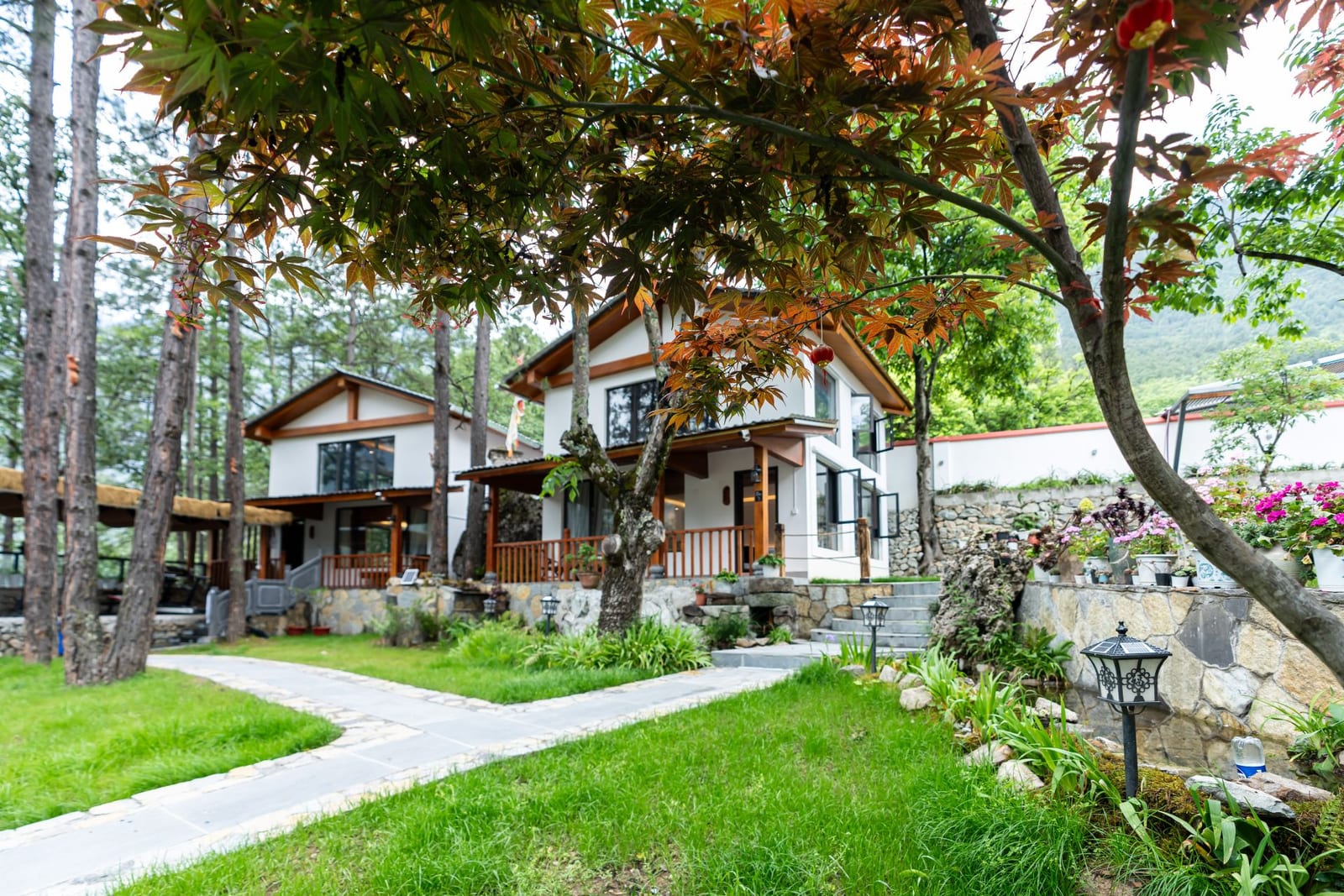 Jilin Mountain Lodge — a stone path across the lawn between the lodge houses, under pines and a red maple