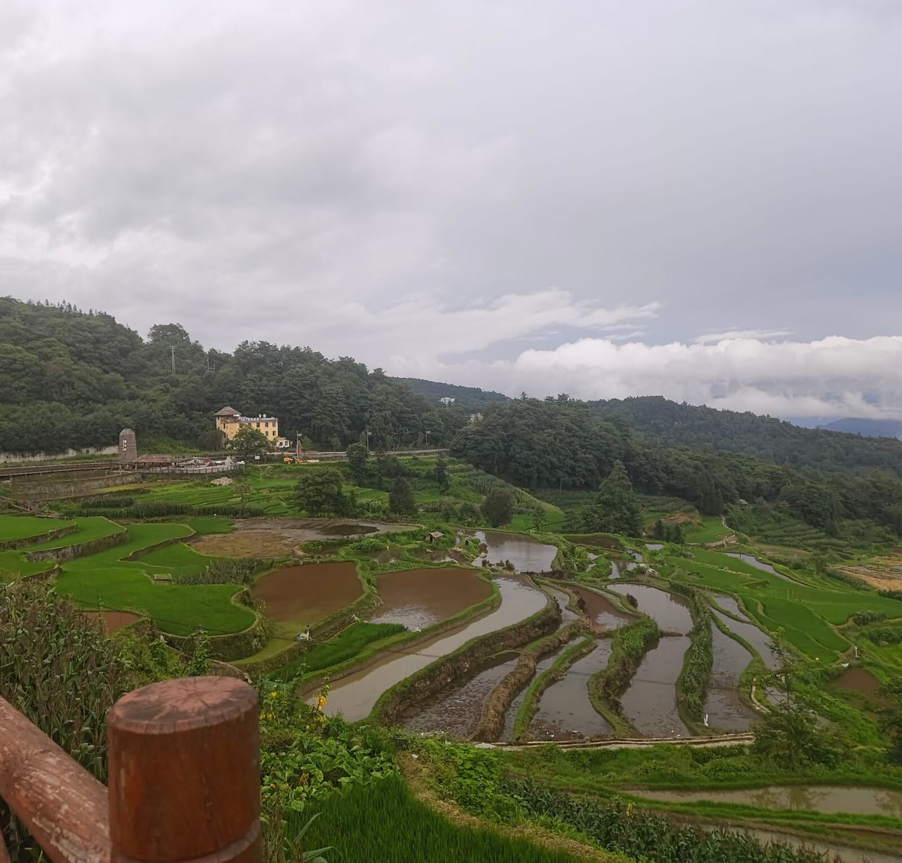 Green Yuanyang rice terraces below Hani Town